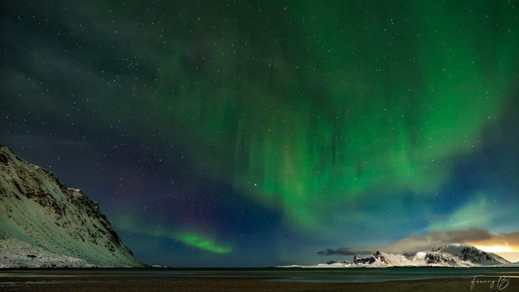 Boreal Presence