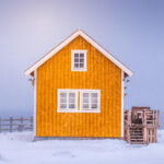 Shelter - 1