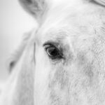 At a Glance - 1