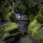 The Sanctuary of Silence - 1