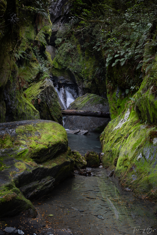 The Sanctuary of Silence